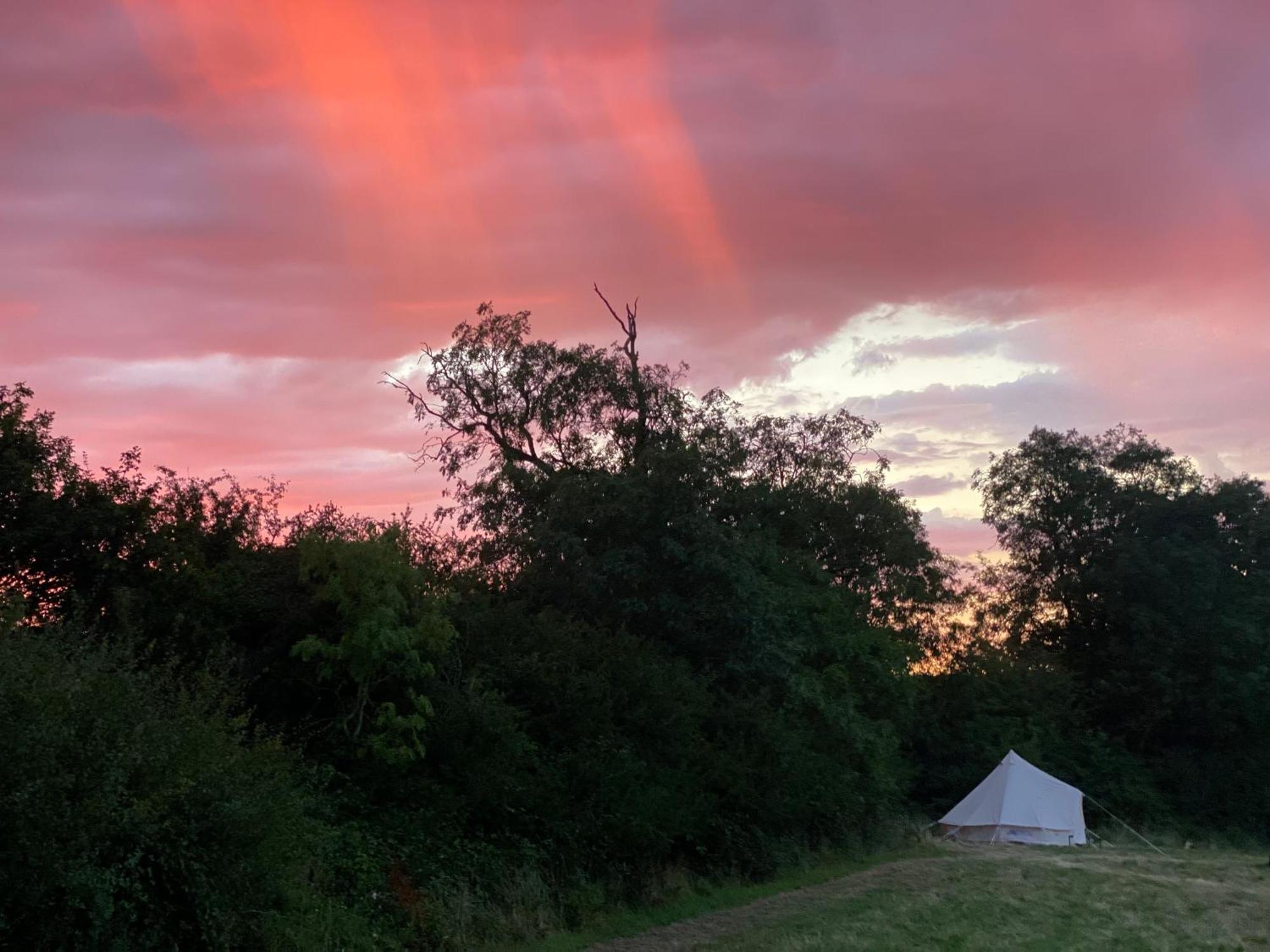 Bell Tent 4M Fossewold Farm Camping Moreton-in-Marsh Extérieur photo